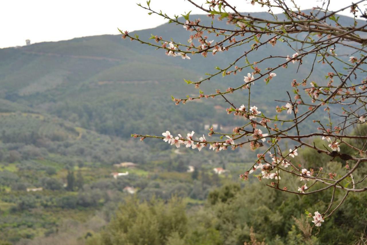 Augusta Country House Derés Dış mekan fotoğraf